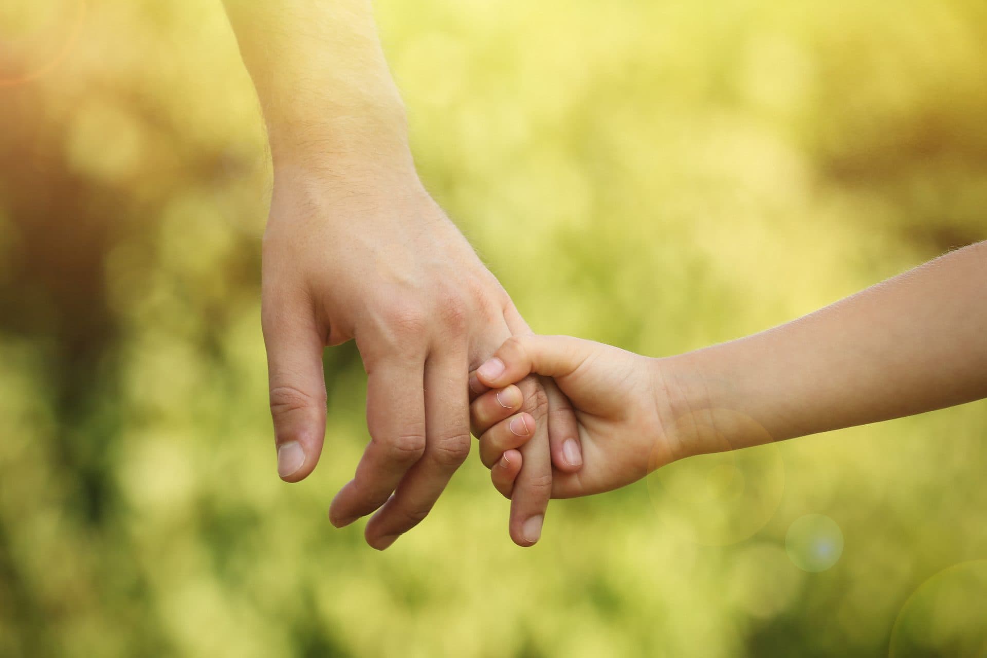 Nahaufnahme einer Erwachsenenhand und einer Kinderhand, die sich locker an den Fingern halten; im Hintergrund eine unscharfe, sonnendurchflutete grüngelbe Wiese